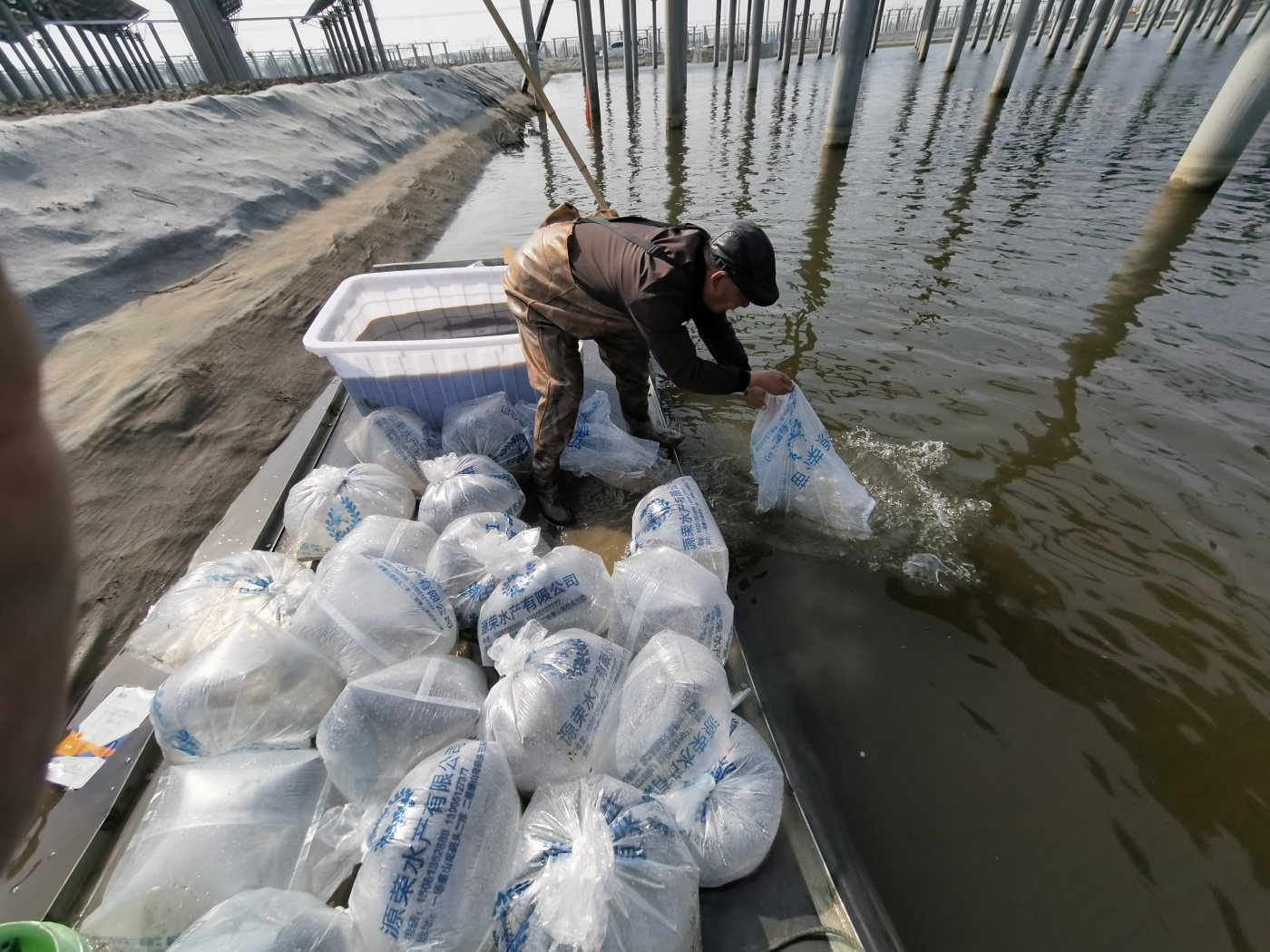 1DCF12F1C8F5770445C9B89DCEEF86AF_副本