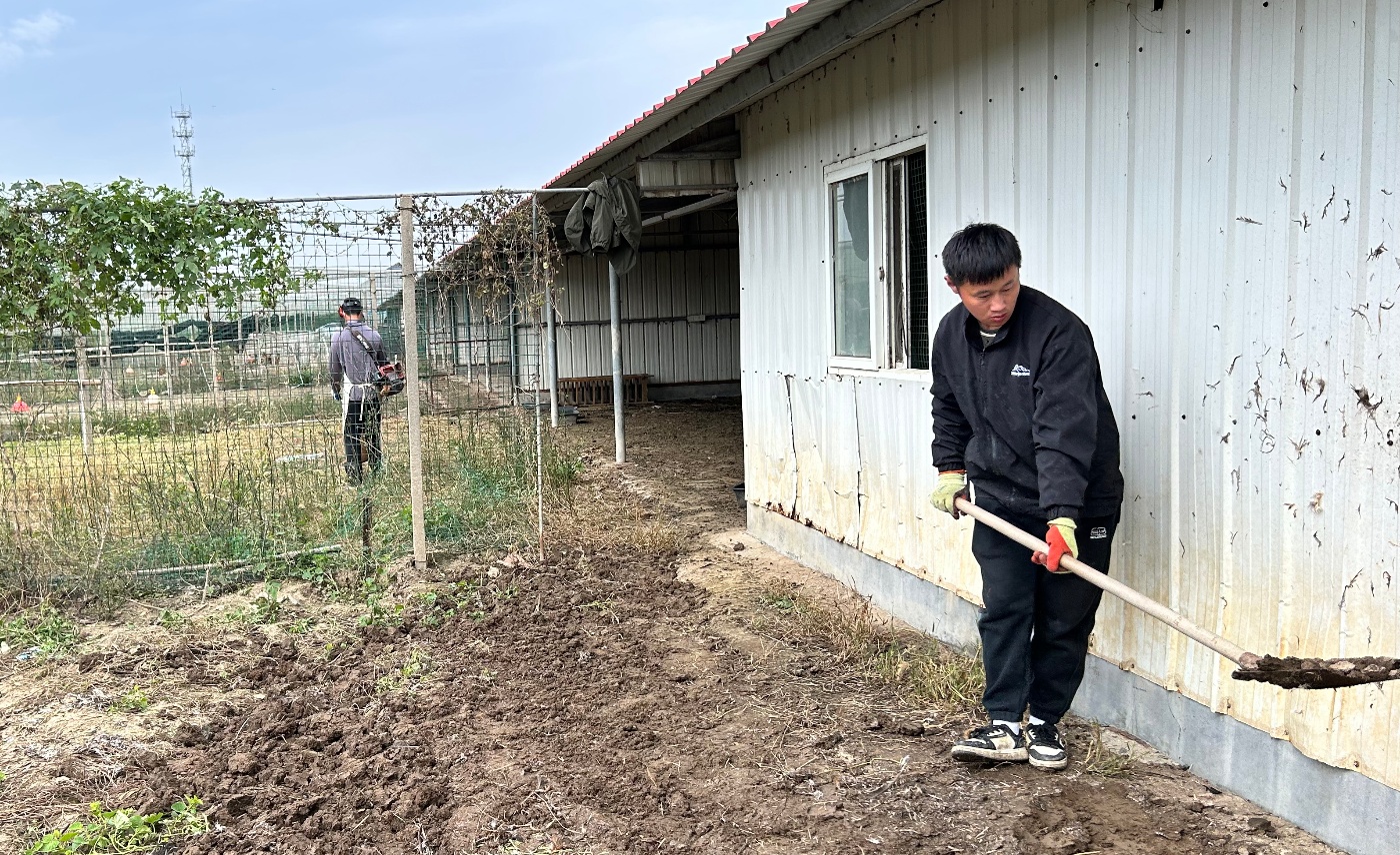 倉(cāng)儲(chǔ)中心禽舍清理20251027_副本